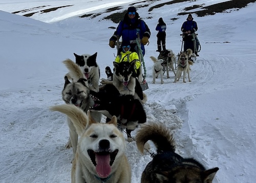 Dogsledding in Svalbard. What a rush!