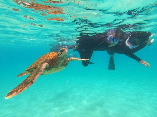 And all of the snorkeling with beautiful sea turtles in the Galapagos.